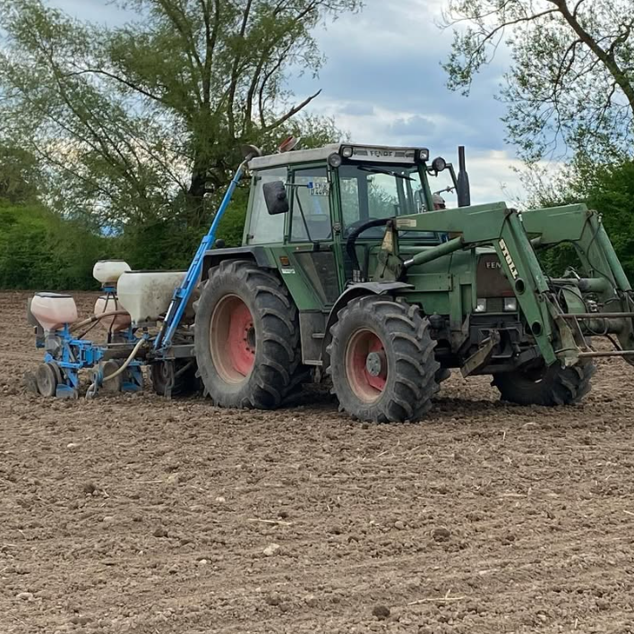 Fendt 309 mit Sämaschine (Maisaussaat)