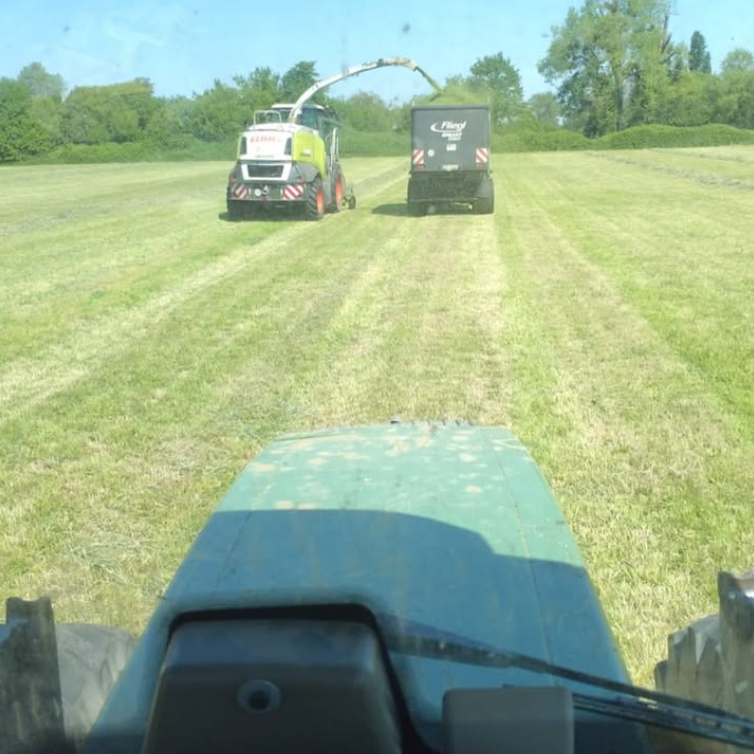Transport beim Grashäckseln