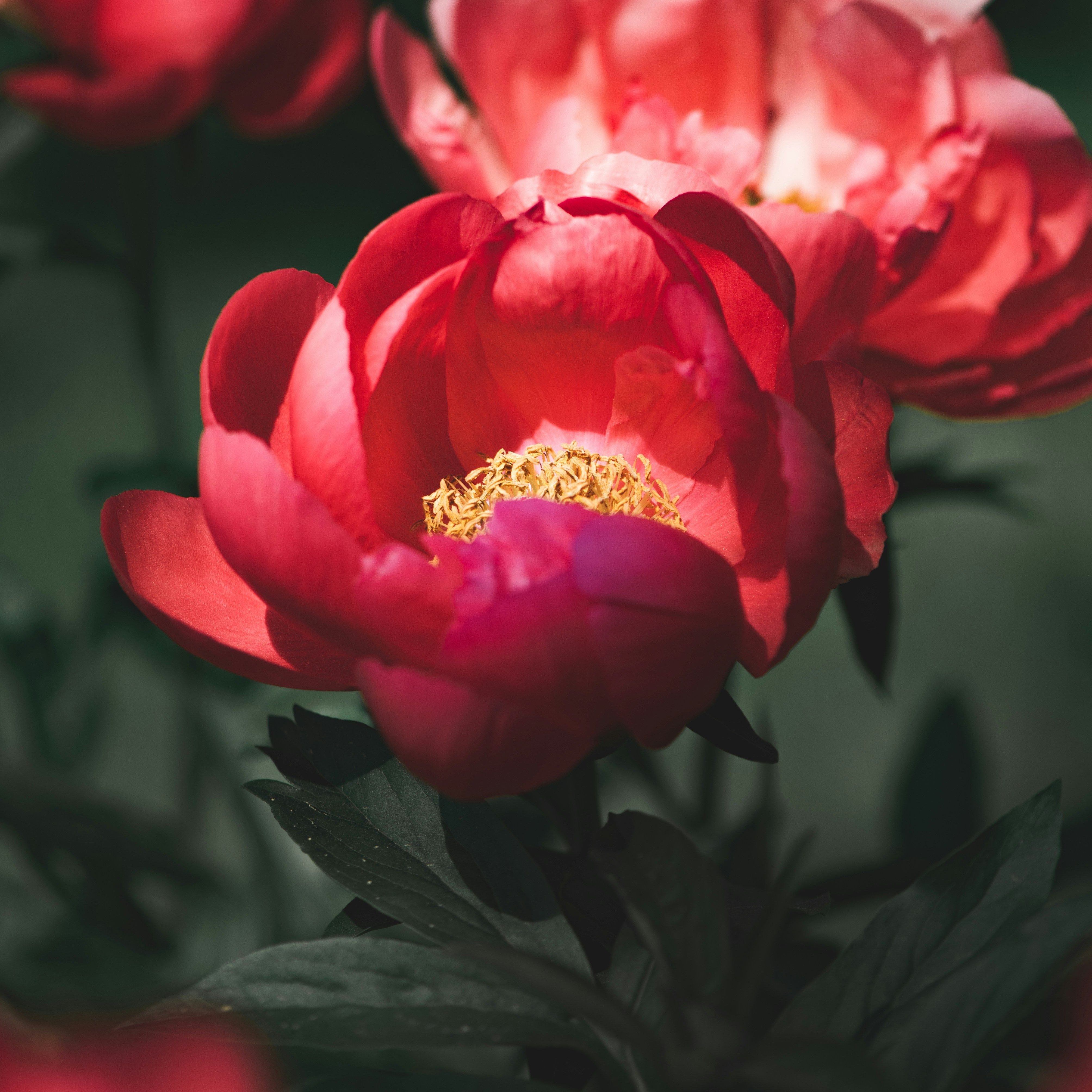 Inner Work und Mindful Business Coaching Berlin