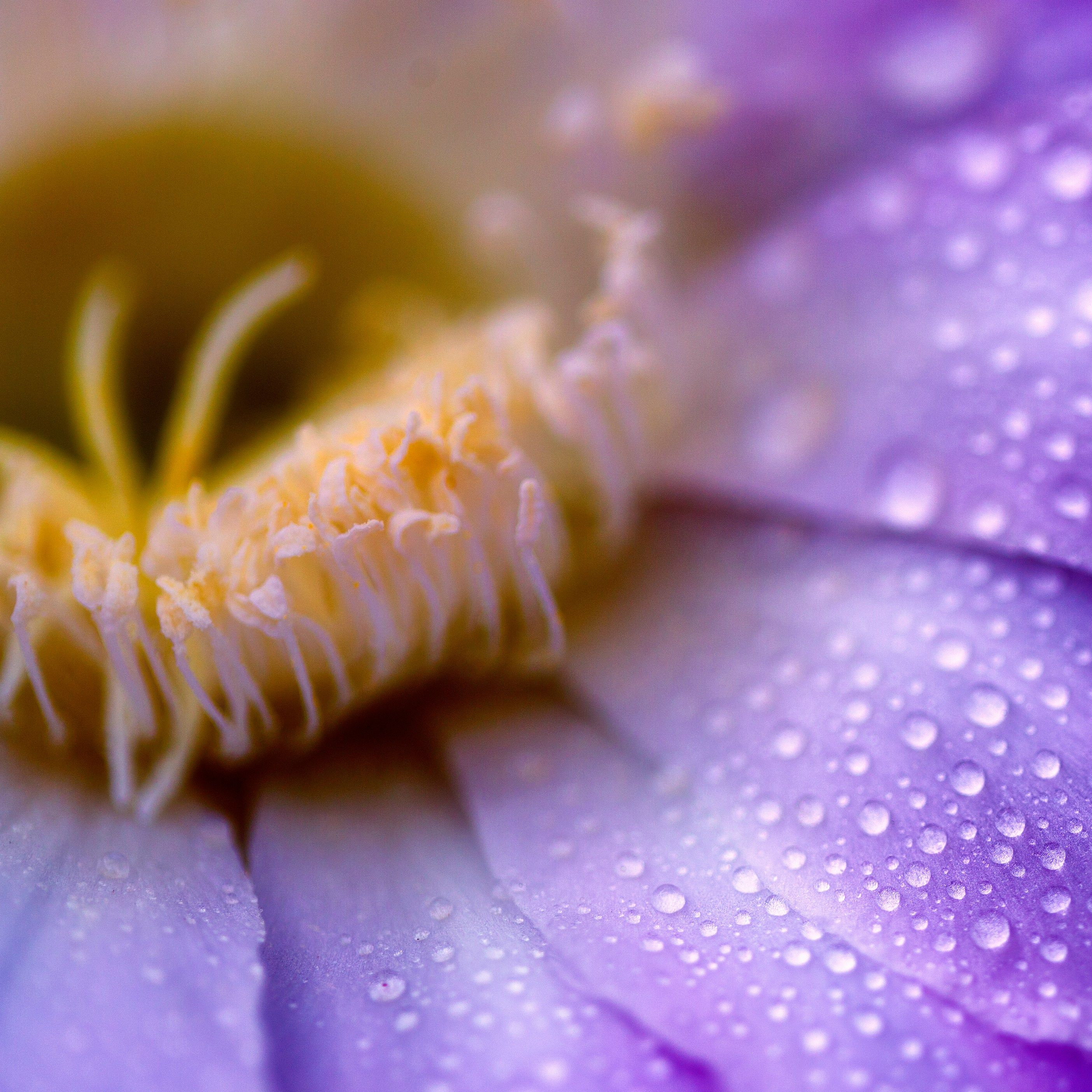 Inner Work und Mindful Business Coaching Berlin