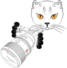 We photograph with love about love!