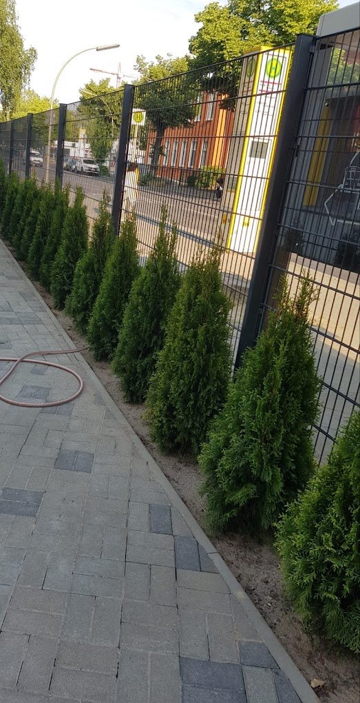 Pflasterarbeiten Gehweg Berlin Spandau