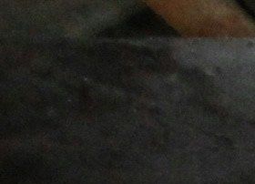 Kellerentrümpelung Berlin Brandenburg