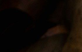 Gartenabfall Entsorgung und Grünschnitt entsorgen Berlin Brandenburg