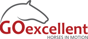 Go-excellent Horses in Motion