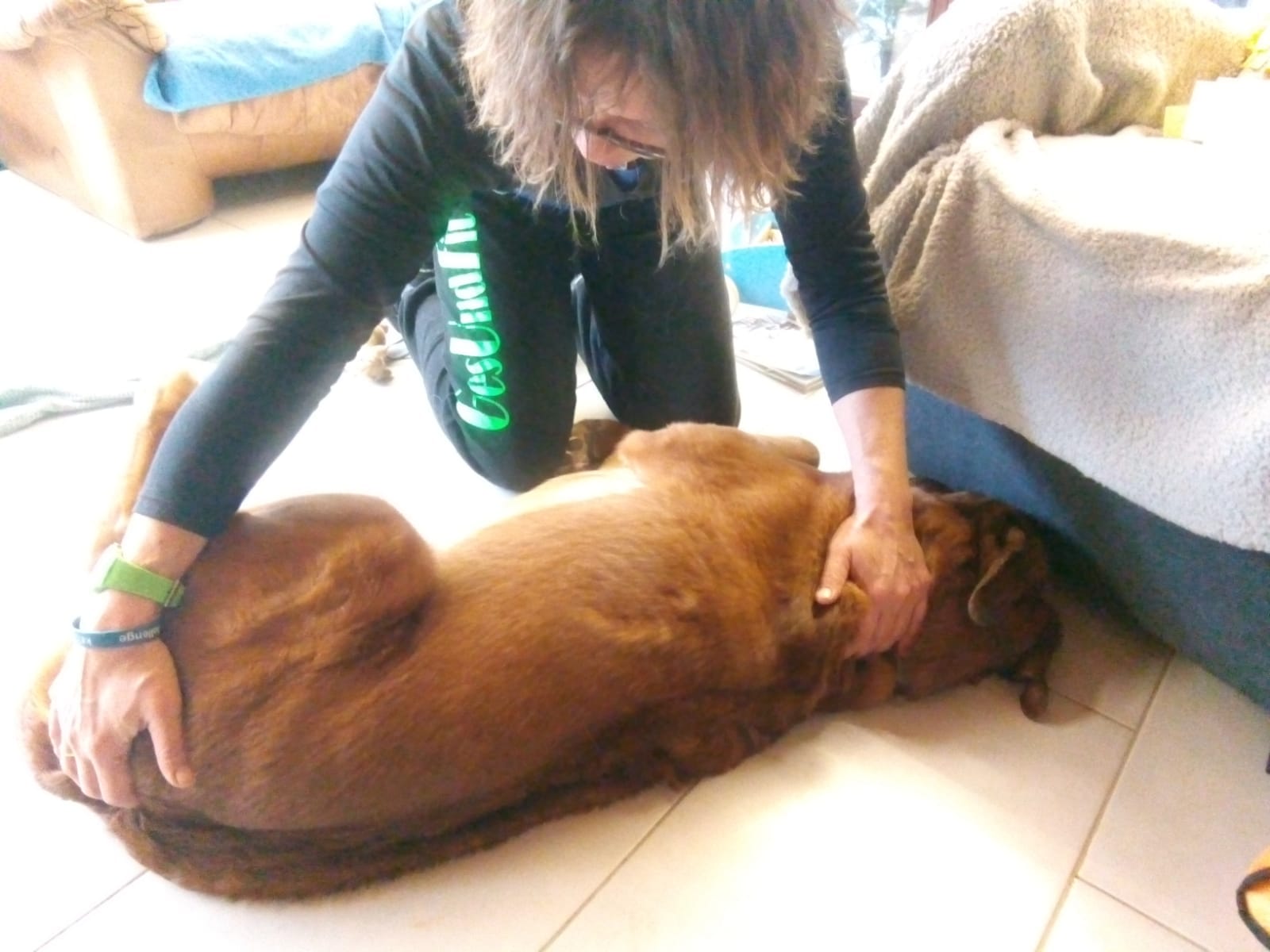 Dahin schmelzen. Tiere zeigen authentisch, was sie fühlen