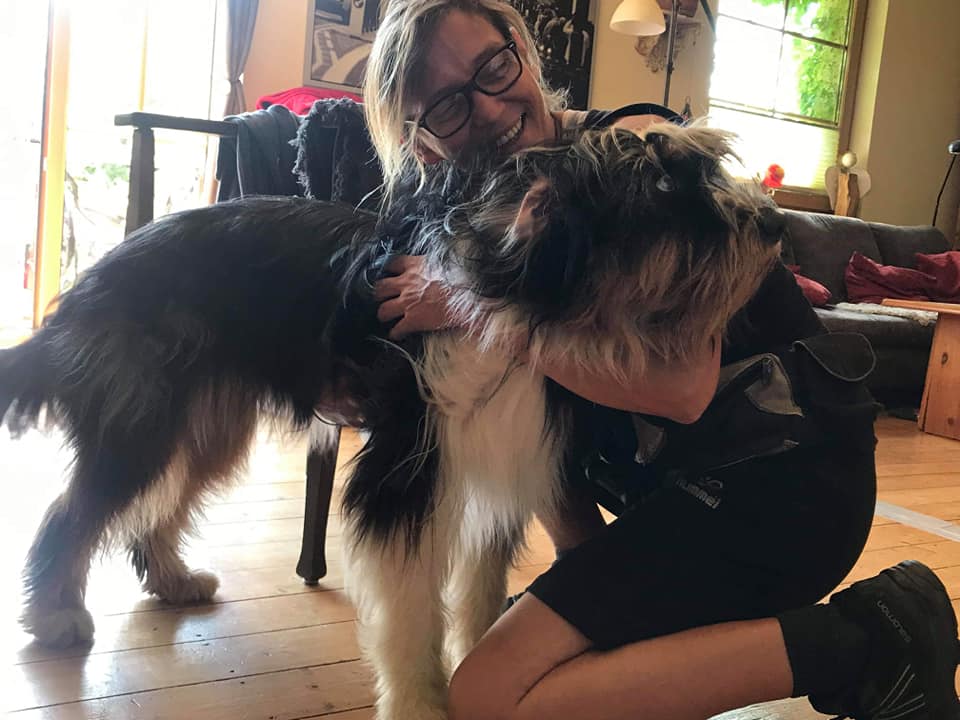 Akupressur bei Hunden 
