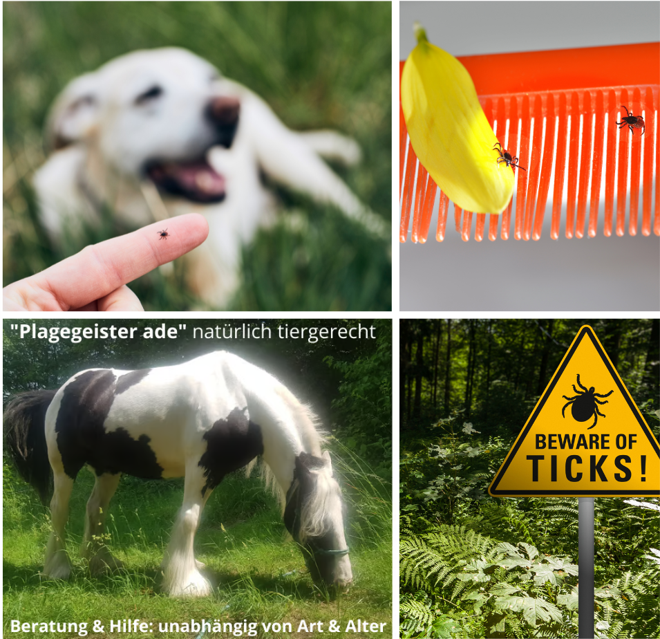 ADE Zecken und Plagegeister
