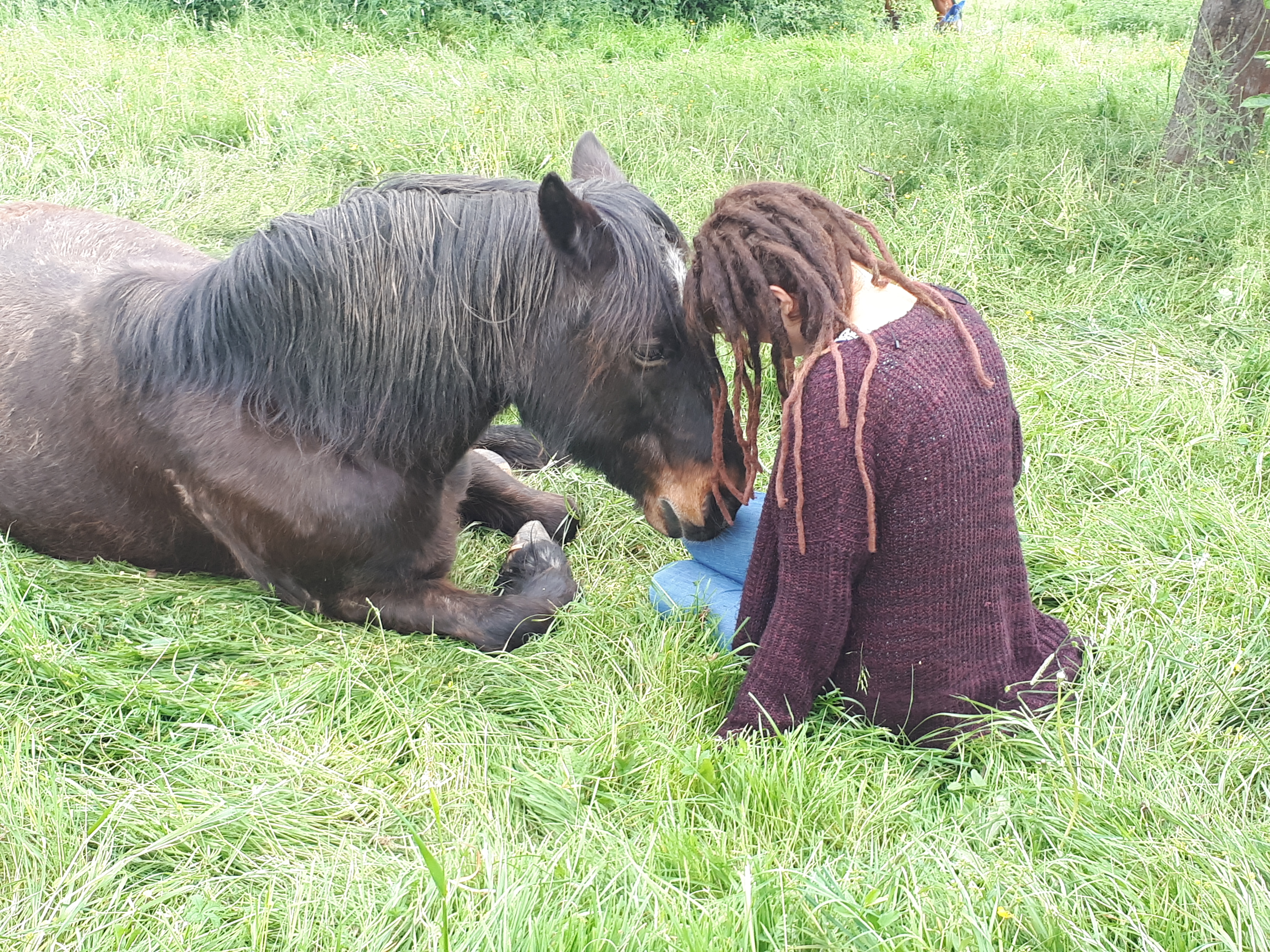 Quincy-Jo_mit-tieren-meditieren