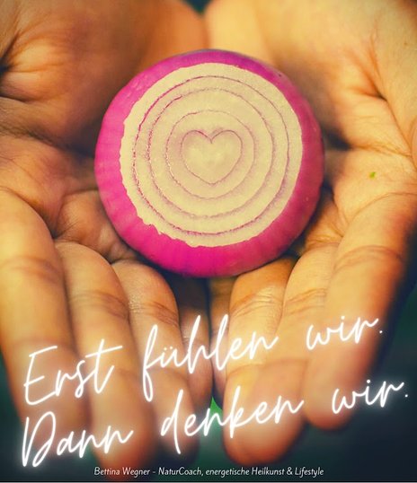 Gefühle und Gedanken: erkenne die Prozesse Gefühle und Gedanken: erkenne die Prozesse