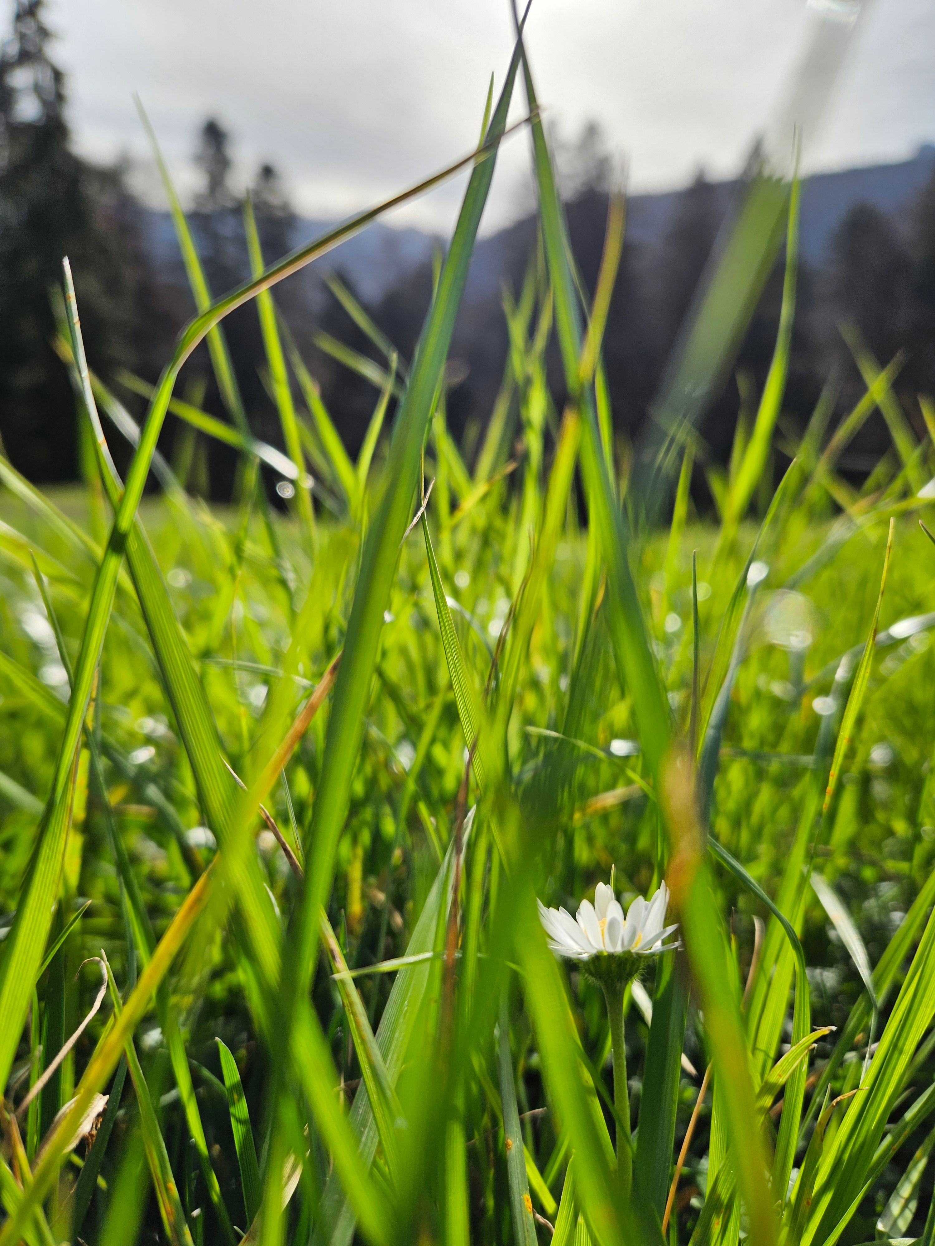 Achtsam - Gedanken schweifen lassen - Nathalie Niederwolfsgruber von hinten - Natur - Wasser - Meditation - Neuseeland
