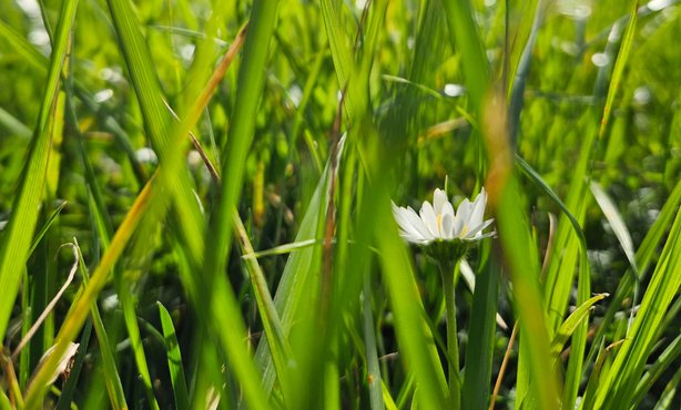 Achtsam - Gedanken schweifen lassen - Nathalie Niederwolfsgruber von hinten - Natur - Wasser - Meditation - Neuseeland Achtsam - Gedanken schweifen lassen - Nathalie Niederwolfsgruber von hinten - Natur - Wasser - Meditation - Neuseeland