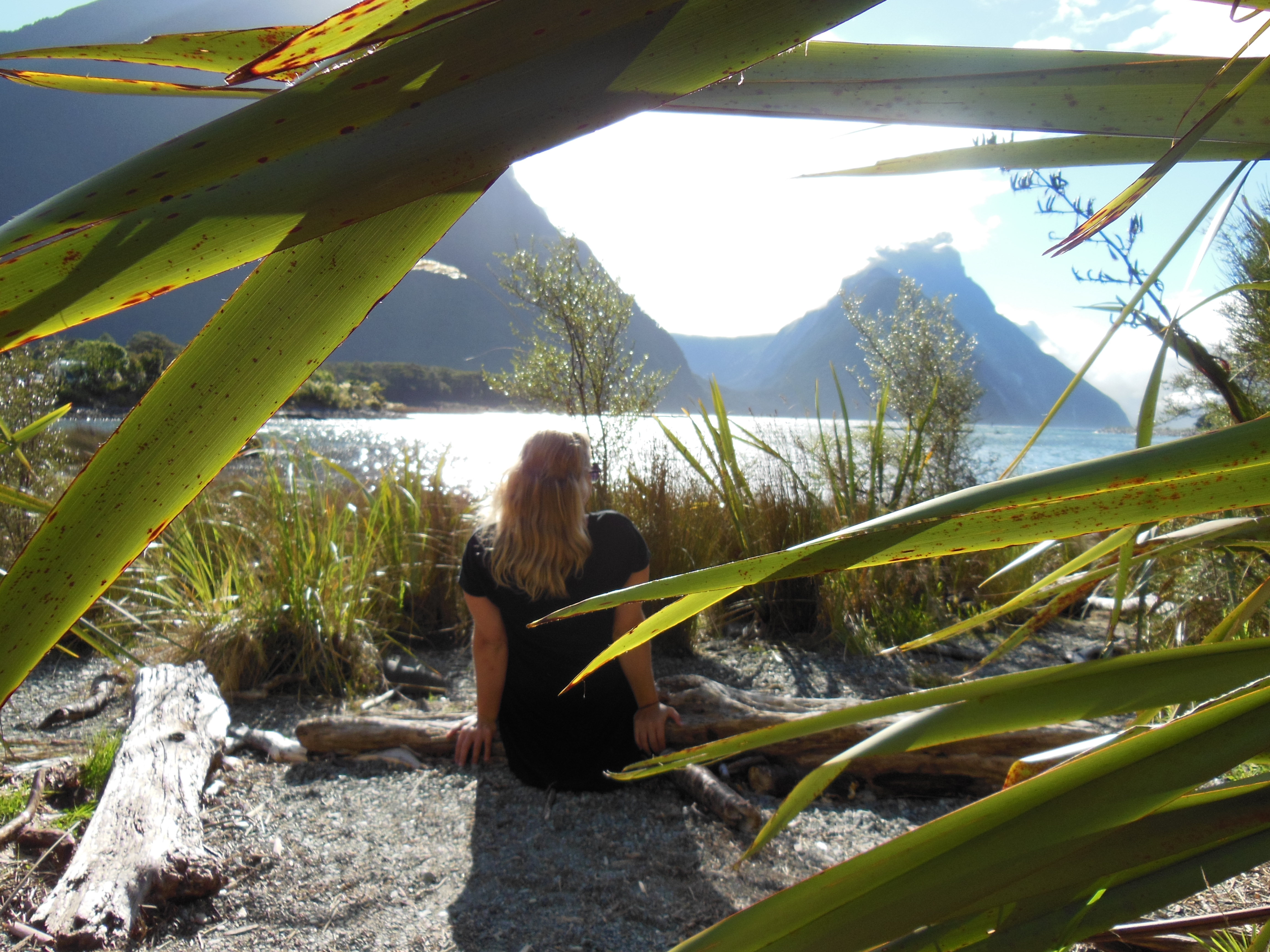 Glück - Klee - Achtsamkeit - Meditation - Vorarlberg - Wald - Atmen - Breathwork - birdslove - Natur