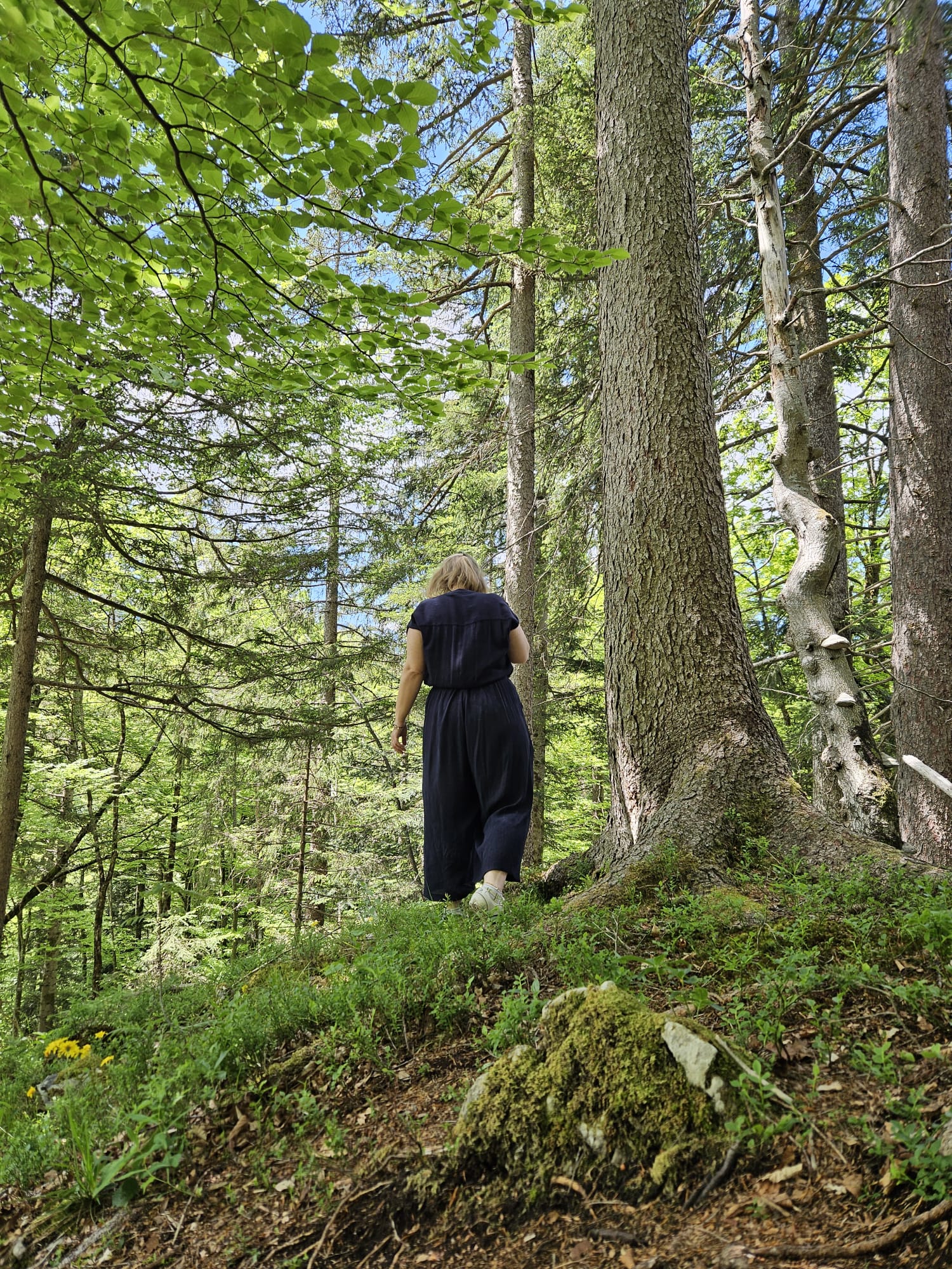 Achtsam - Gedanken schweifen lassen - Nathalie Niederwolfsgruber von hinten - Natur - Wasser - Meditation - Neuseeland