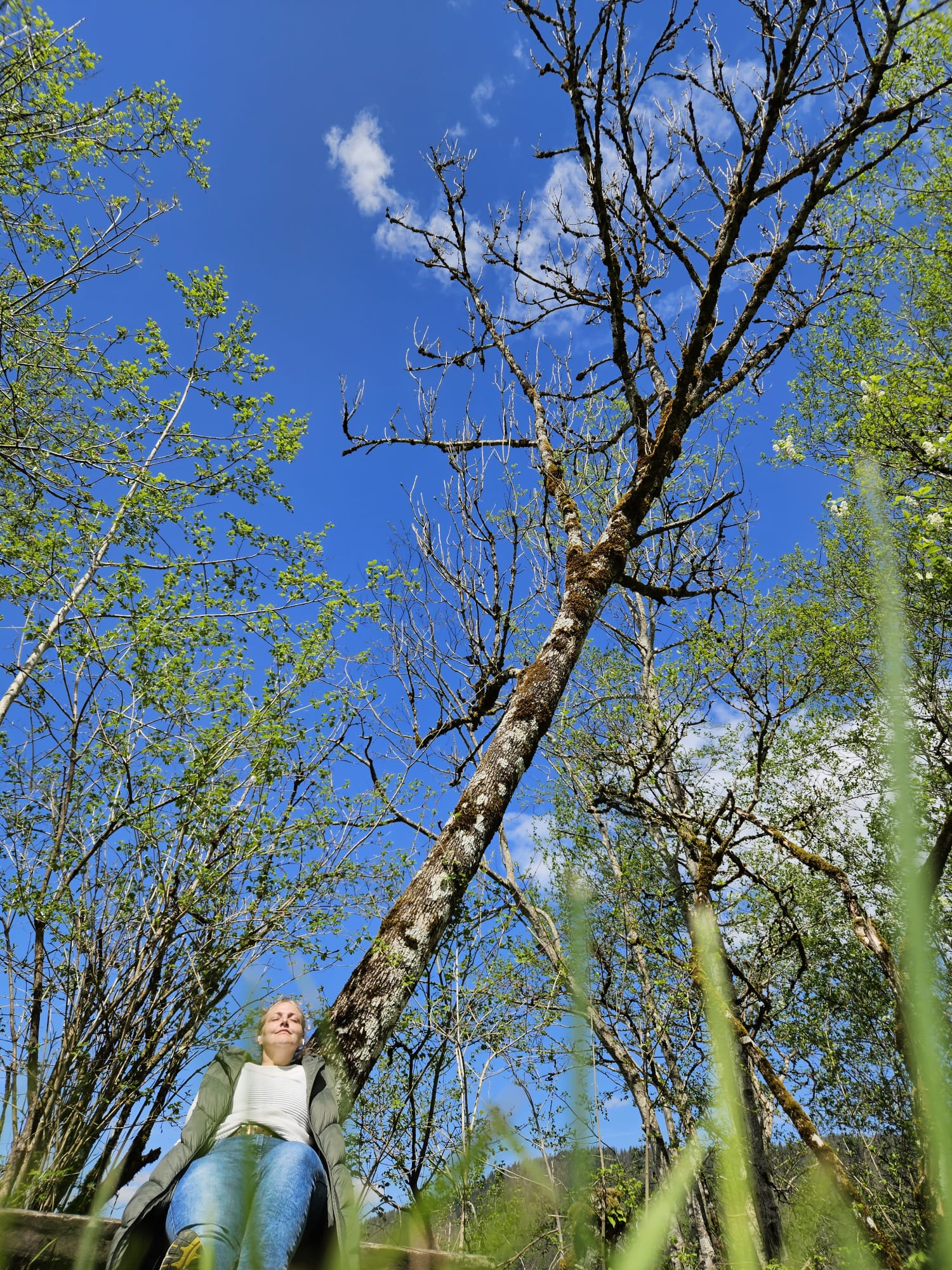 Achtsam - Gedanken schweifen lassen - Nathalie Niederwolfsgruber von hinten - Natur - Wasser - Meditation - Neuseeland
