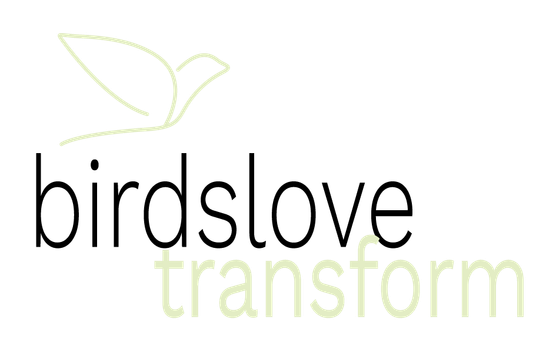 birdslove transform birdslove.transform mentaltraining achtsamkeitstraining achtsamkeitschallenge karten wortwertkarten coaching meditation entspannung breathwork beambreath meditieren transformation persönlichkeitsentwicklung burnout resilienz hamsterrad mindset optimismus lebensfreude chakren energiearbeit du bist was du denkst training liebe beziehung verliebt ich liebe mein leben bannbotschaft antreiber glaubenssätze glaubenssatz glaubensmuster ich bin sicher trance hypnose affirmation afformation personal growth wachstum veränderung grenzen setzen nein sagen Nathalie Niederwolfsgruber