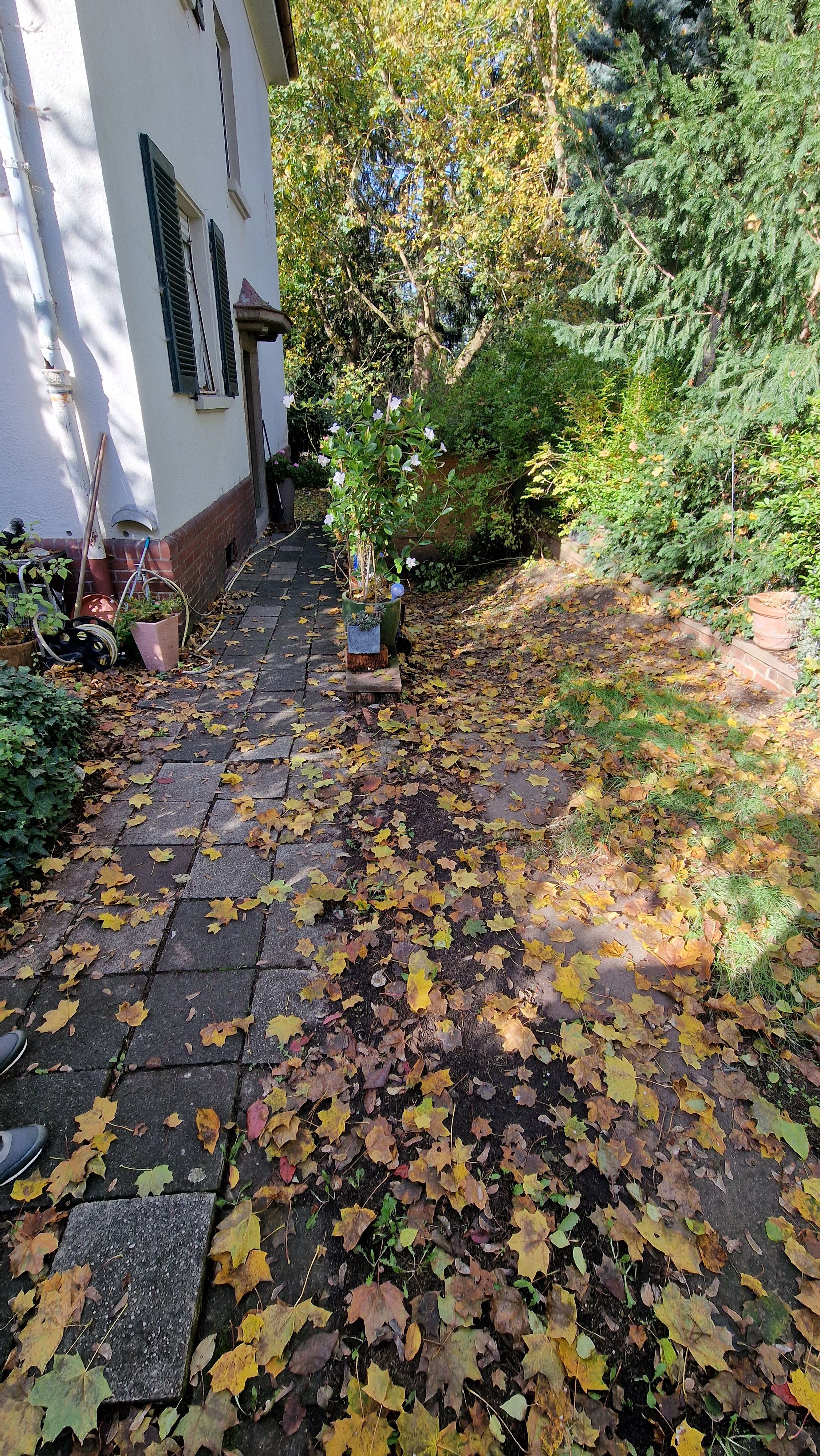 Optiemierung der Einfahrt 