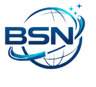 BSN Consulting