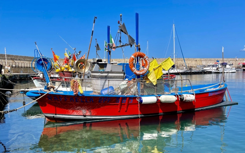Buntes rot-blaues Fischerboot im Hafen von Marciana Marina auf Elba bei klarem Wasser und blauem Himmel.