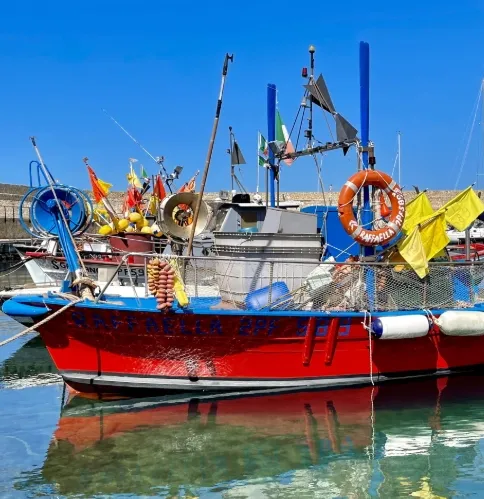 Buntes rot-blaues Fischerboot im Hafen von Marciana Marina auf Elba bei klarem Wasser und blauem Himmel. Buntes rot-blaues Fischerboot im Hafen von Marciana Marina auf Elba bei klarem Wasser und blauem Himmel.