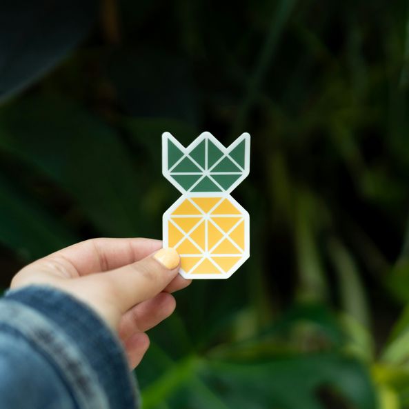 unsplash_CXGf4JgtaXs