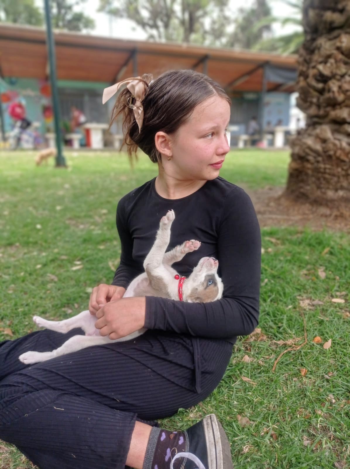 838f0626-0fe9-446c-878c-6b7886fadc7c