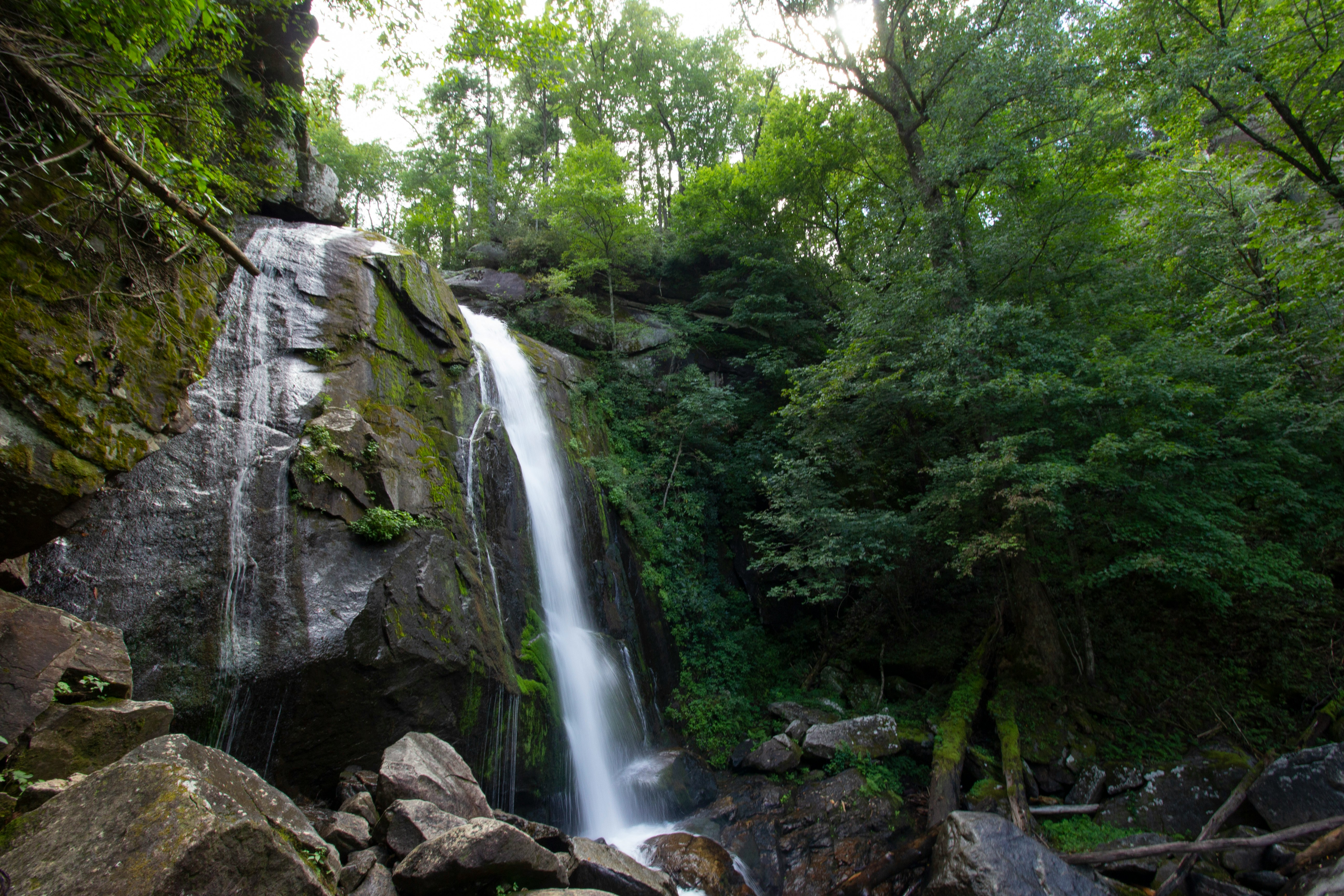 leslie-cross-idMGSxbv5i8-unsplash