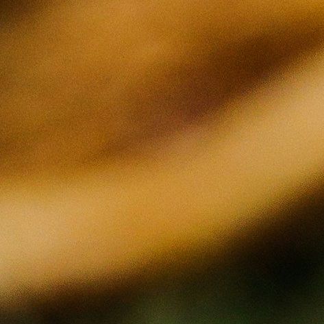 unsplash_-nyWlf81afA