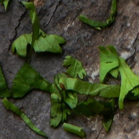 unsplash_0ni63gRt4PE