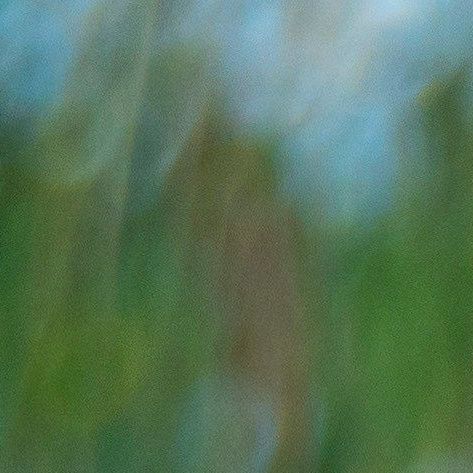 unsplash_3qKbunF5ovM