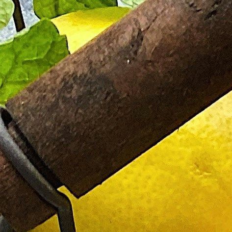 unsplash_43seK8CwOGM