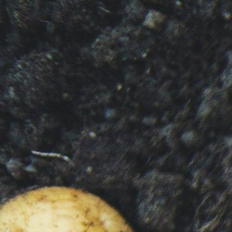 unsplash_484GsKrL5r8