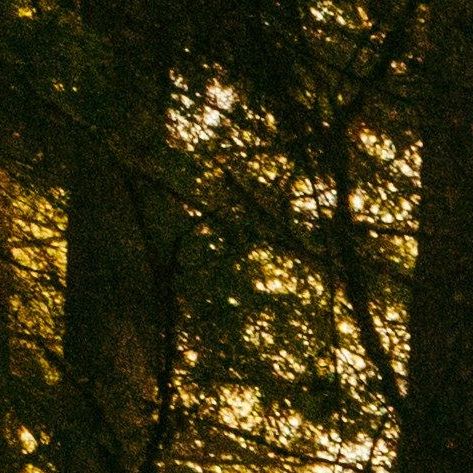 unsplash_74TufExdP3Y