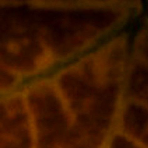 unsplash_81B2H64Ff54