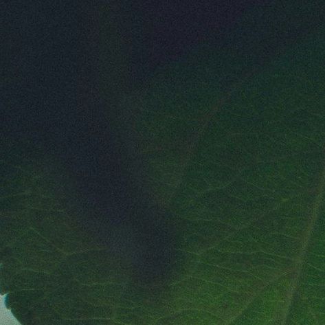 unsplash_GbY8Xg5iTOA