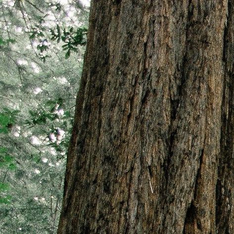 unsplash_J3JMyXWQHXU