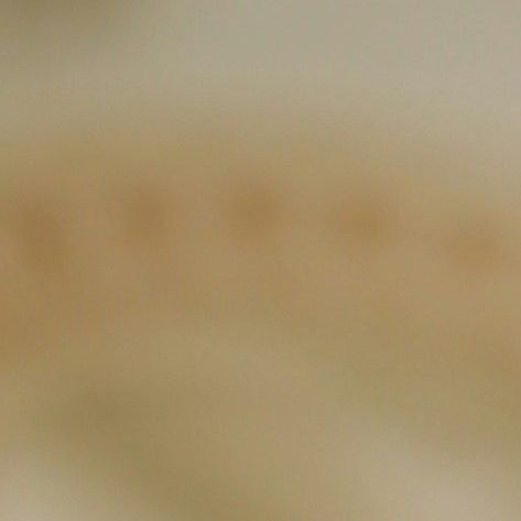 unsplash_JZB-sebrKa4