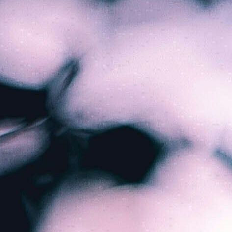 unsplash_Kol2ib6ehQE