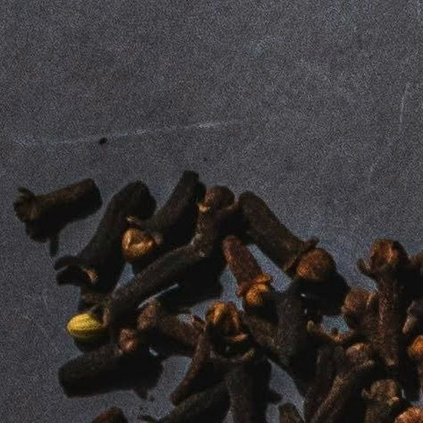 unsplash_Nihdo084Yos