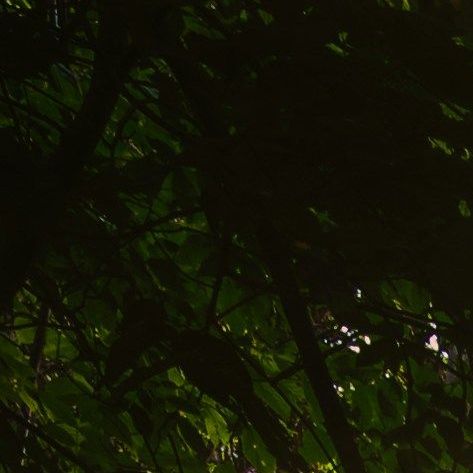 unsplash_PMs1BS2E8sU