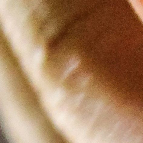 unsplash_Pmkq0yZ80-4