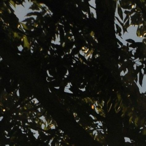 unsplash__rmULTYorYQ(1)