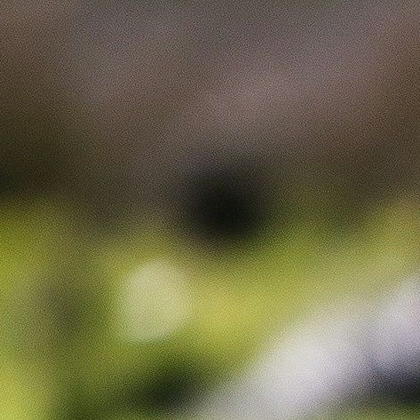 unsplash_aJvSX36kweg(2)