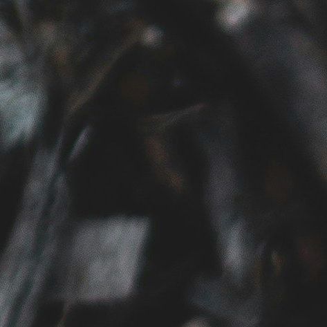 unsplash_atABoexekj0