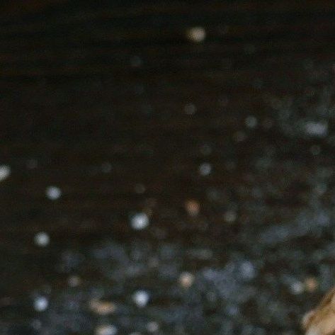 unsplash_rsWZ-P9FbQ4