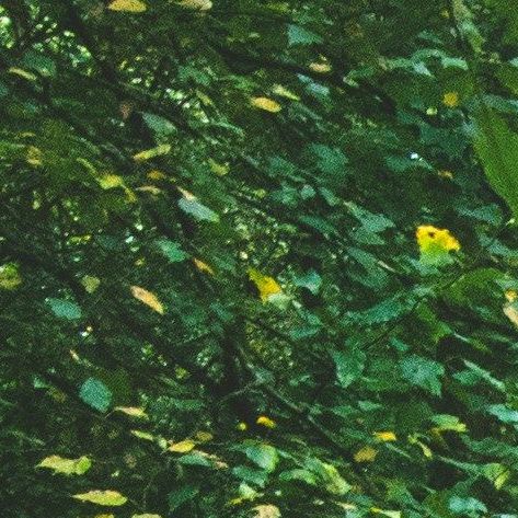 unsplash_u0vgcIOQG08