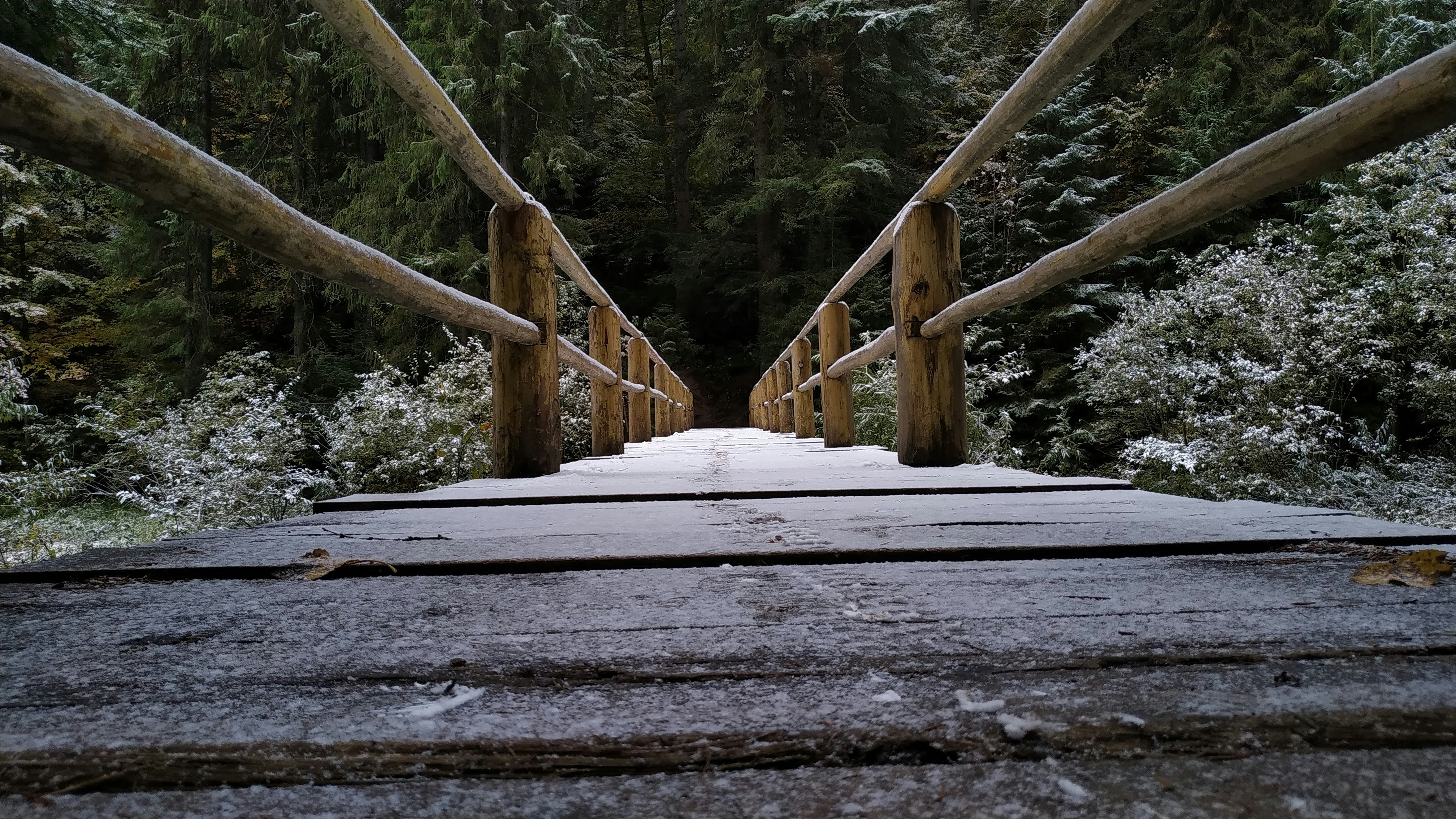 vlad-matsko-ynQYUR2oulw-unsplash