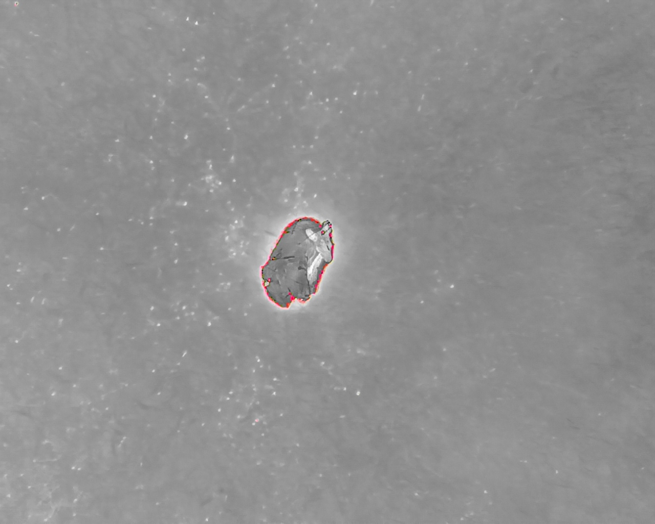 DJI_20250629070331_0001_T