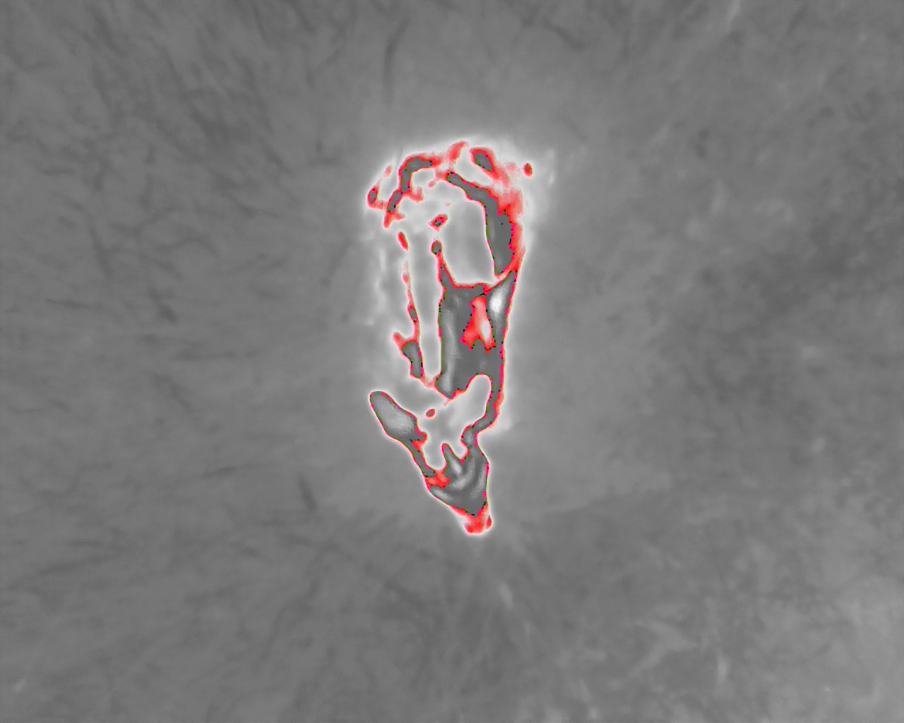 DJI_20250629070508_0006_T