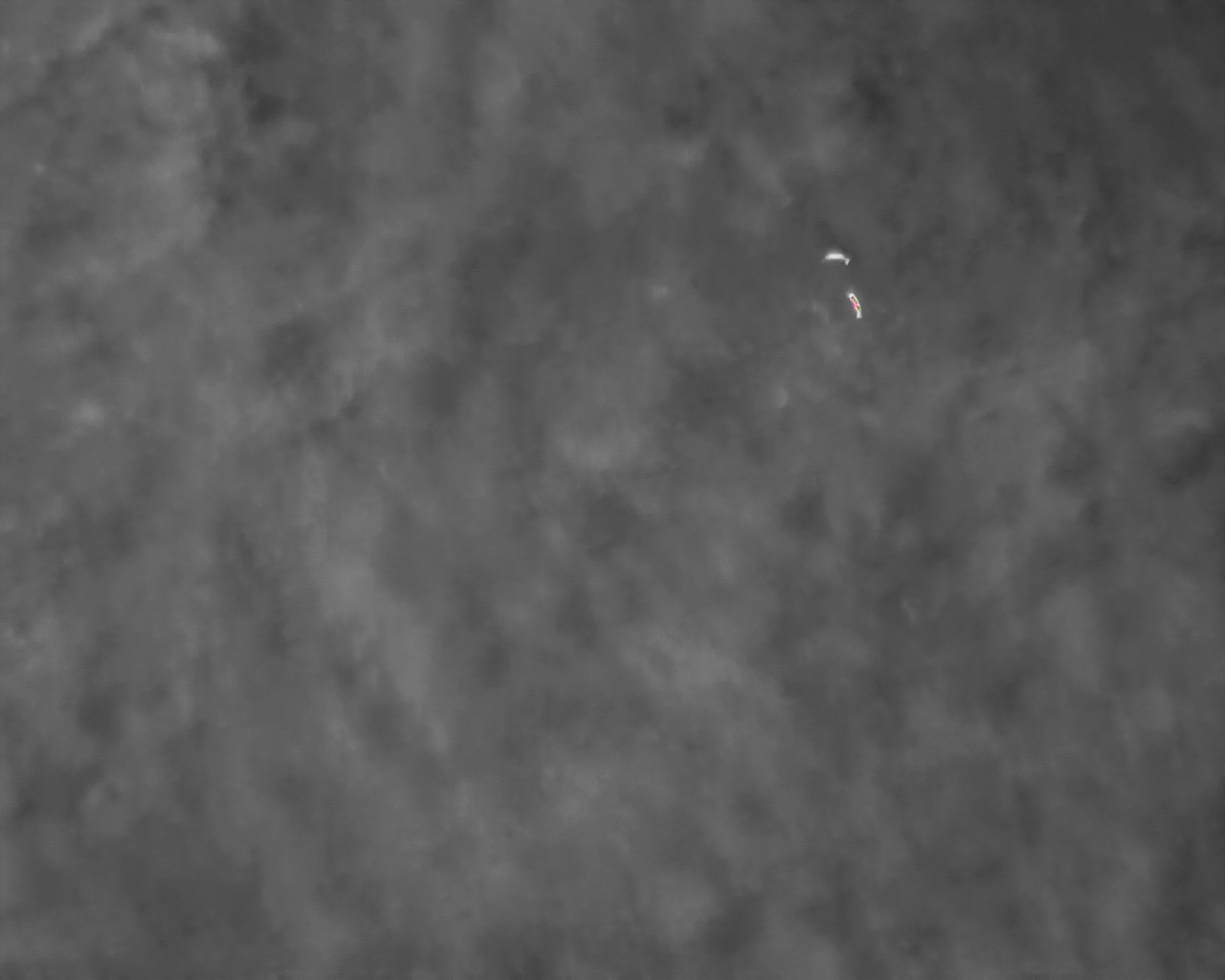 DJI_20250629082348_0011_T